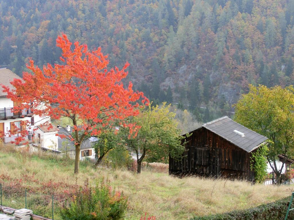 Hotel Belvedere Wellness & Family Baselga di Pinè Eksteriør billede